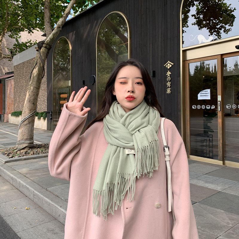 250g Solid Color Artificial Cashmere Scarf Thickened Warm Tassel Monochrome Shawl - Image 10